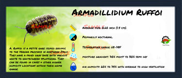 Armadillidium Ruffoi Isopod Bin Label